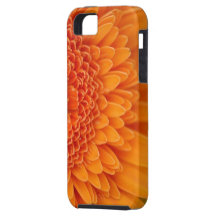 BlommaPetalFodral-Kompis Iphone 5 fodral