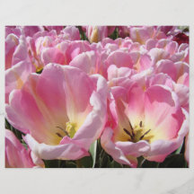 Blommar den pappra rosa tulpan för beställnings- r custom flyer