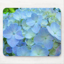 Blommar den pastellfärgade vanlig hortensia för bl musmattor