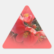 BlommarQuinceträd Klistermärke