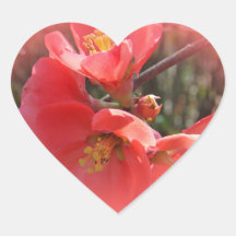 BlommarQuinceträd Klistermärken