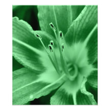 blommigt fototryck
