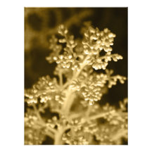 blommigt fototryck