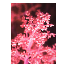 blommigt fotontryck