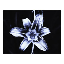 blommigt foton
