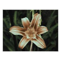 blommigt fotontryck