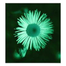 blommigt foto