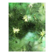 blommigt foto