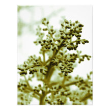 blommigt foto