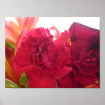 Blommor Posters