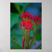 Blommor Affischer
