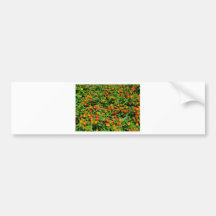 Blommor Bildekaler
