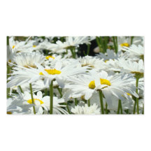 Blommor för daisy för påminnelsekorttidsbeställnin visit kort