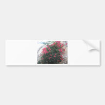 Blommor i det judiskt inkvarterar bildekaler