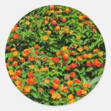 Blommor Klistermärke
