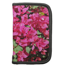 Blommor: Magentafärgad Bougainvillea Organizers
