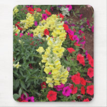 Blommor Mus Mattor