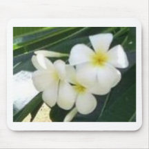 blommor musmattor