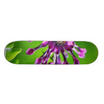 Blommor ut på min farstubro skate boards