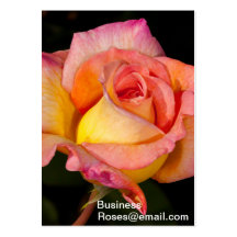Blomsterhandlarevisitkortar