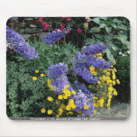 Blomsterrabattar på jordningen av Hadden Hall, Eng Mus Matta