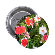 Blomsterträdgård av den färgCricketDiane blommigte Knappar Med Nål