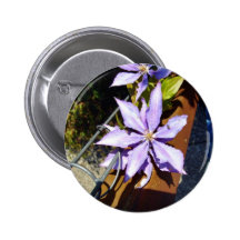 Blomstra lila blommor knapp med nål