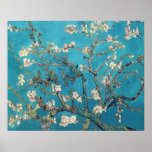 Blomstra mandelträd Van Gogh Affischer