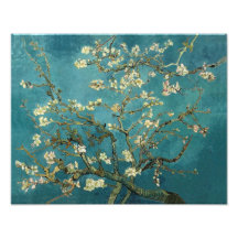 Blomstra mandelträd - Van Gogh Fotografi