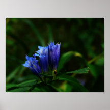 Blueandgreen Affisch