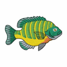 Bluegill