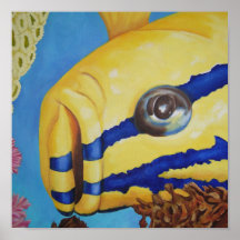 Blyg groper-kanfas print