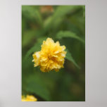 Blygt Print