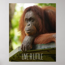Bo a lite print