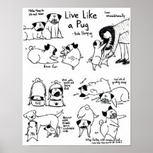 Bo något liknande en mops! affisch