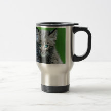 Bobcaten synar den härliga vild katt för Aqua Kaffe Koppar