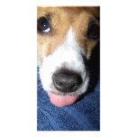 Bokmärke för jackRussell Terrier Anpassade Foto Kort