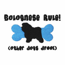 Bolognese härskar den broderade skjortan (T-tröja)