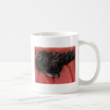 Böna Kaffe Koppar