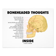 Boneheaded tankeinsida (anatomihumorn) tillkännagivande