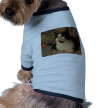 BONGO T-SHIRT FÖR HUNDAR