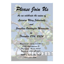 Bonsaiw-text fotograferar portulacariaafraträd 1. anpassade tillkännagivande