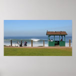 Boomers surf and nature poster