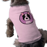 Boston Terrier Djurkläder