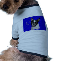 Boston Terrier:  Inte rymma henne kan licker Hund Kläder