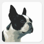 Boston Terrier Klistermärken