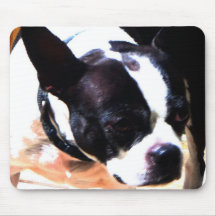 Boston Terrier mouse pad II