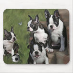 Boston Terriervalpar musmattor