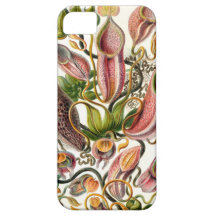 botanisk konst för ernst haeckel iPhone 5 Case-Mate skal