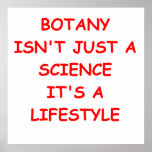botany posters